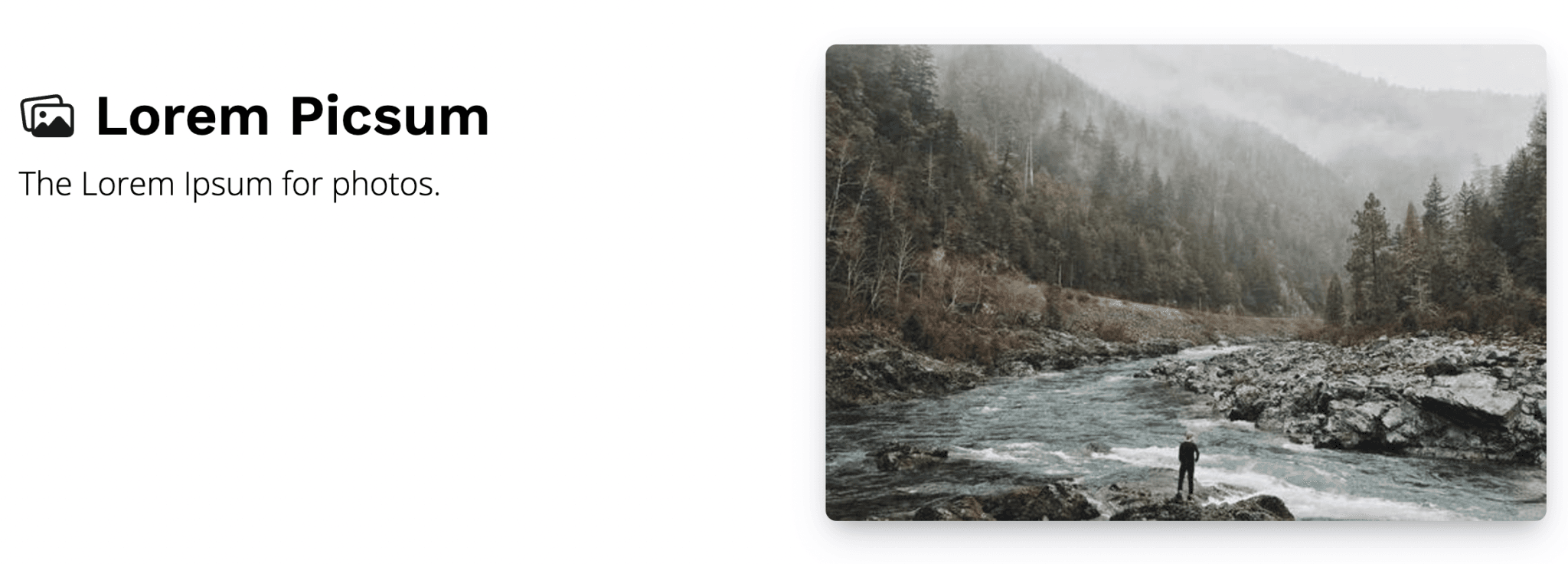 Simplify Software Testing with These Test Data Generators - QAlogy